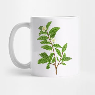 Tea Plant Botanical Mug